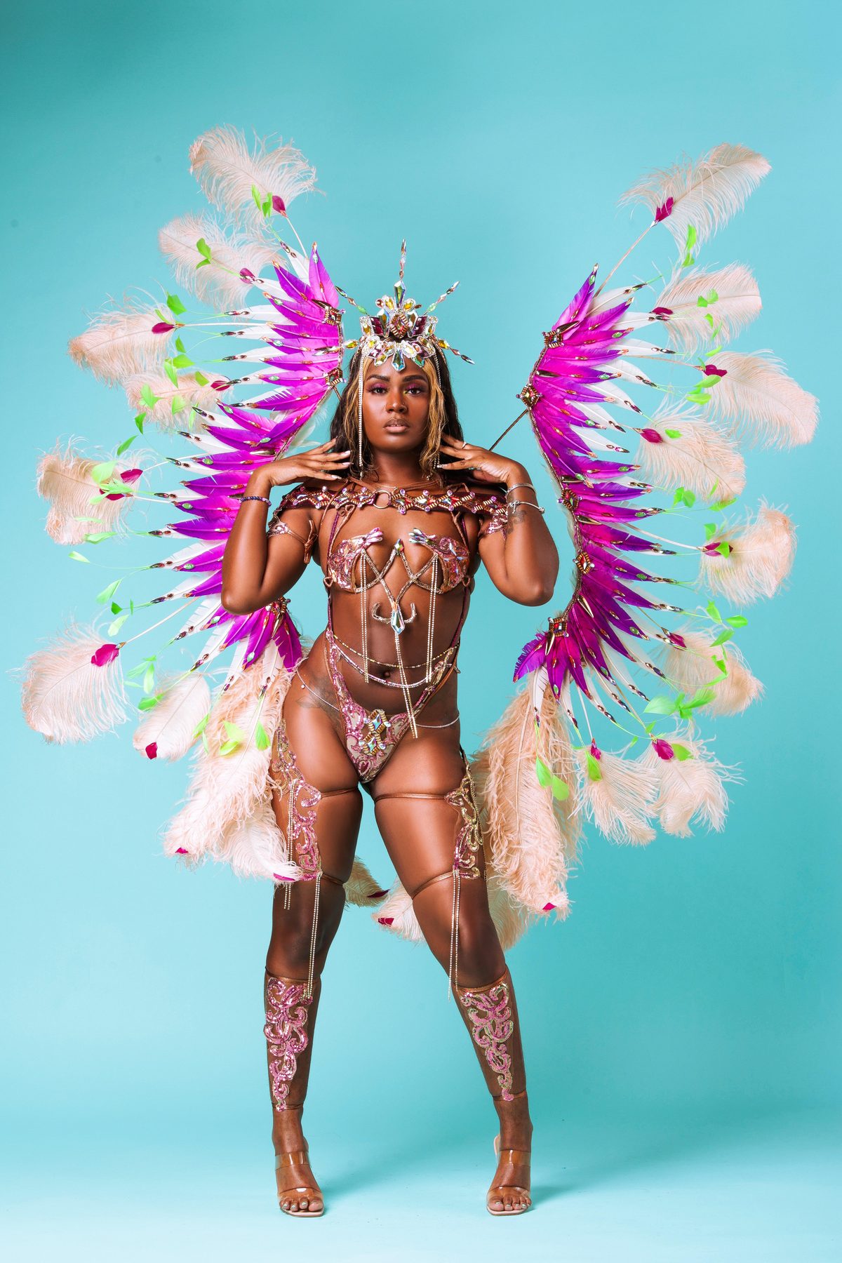 Dramatic carnival commission with coral and white feather wings